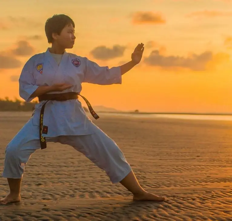 A young man practicing Kung Fu in front of a sunset